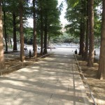 wpid-DSCN1371.JPG