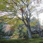 wpid-DSCN1936.JPG