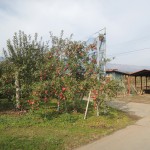 wpid-DSCN2201.JPG