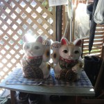wpid-DSCN3528.JPG